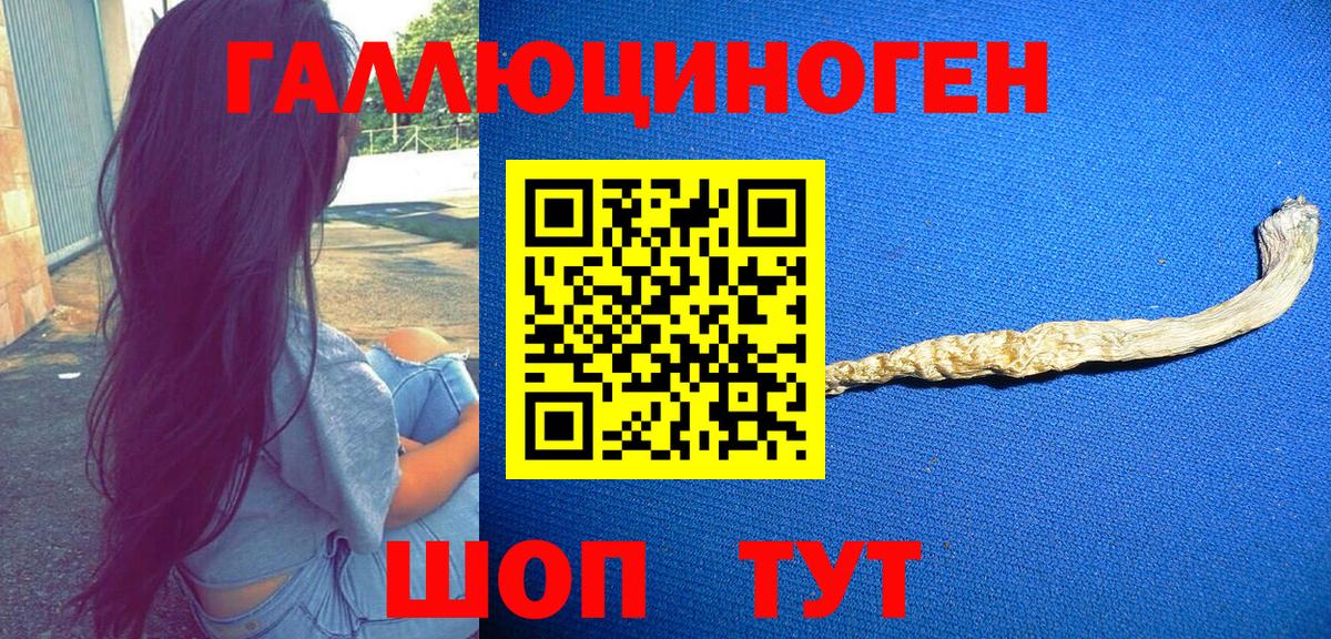 Каменск-Уральский  как найти наркотики  Галлюциногенные грибы Psilocybine cubensis  Вход с VPN  Галлюциногенные грибы ЛСД 